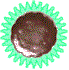 Thin Mints