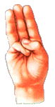 sign.gif (98523 bytes)